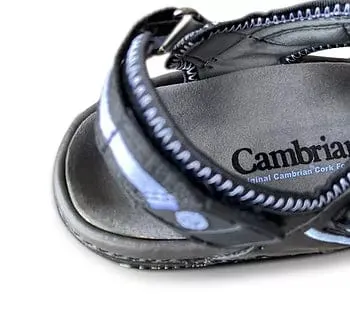 Cambrian Women's Marina 4 Walking Sandals- Black/ Blue